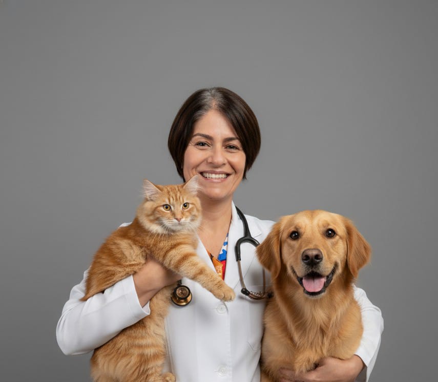 Clínica Veterinária e Petshop Dia de Cão