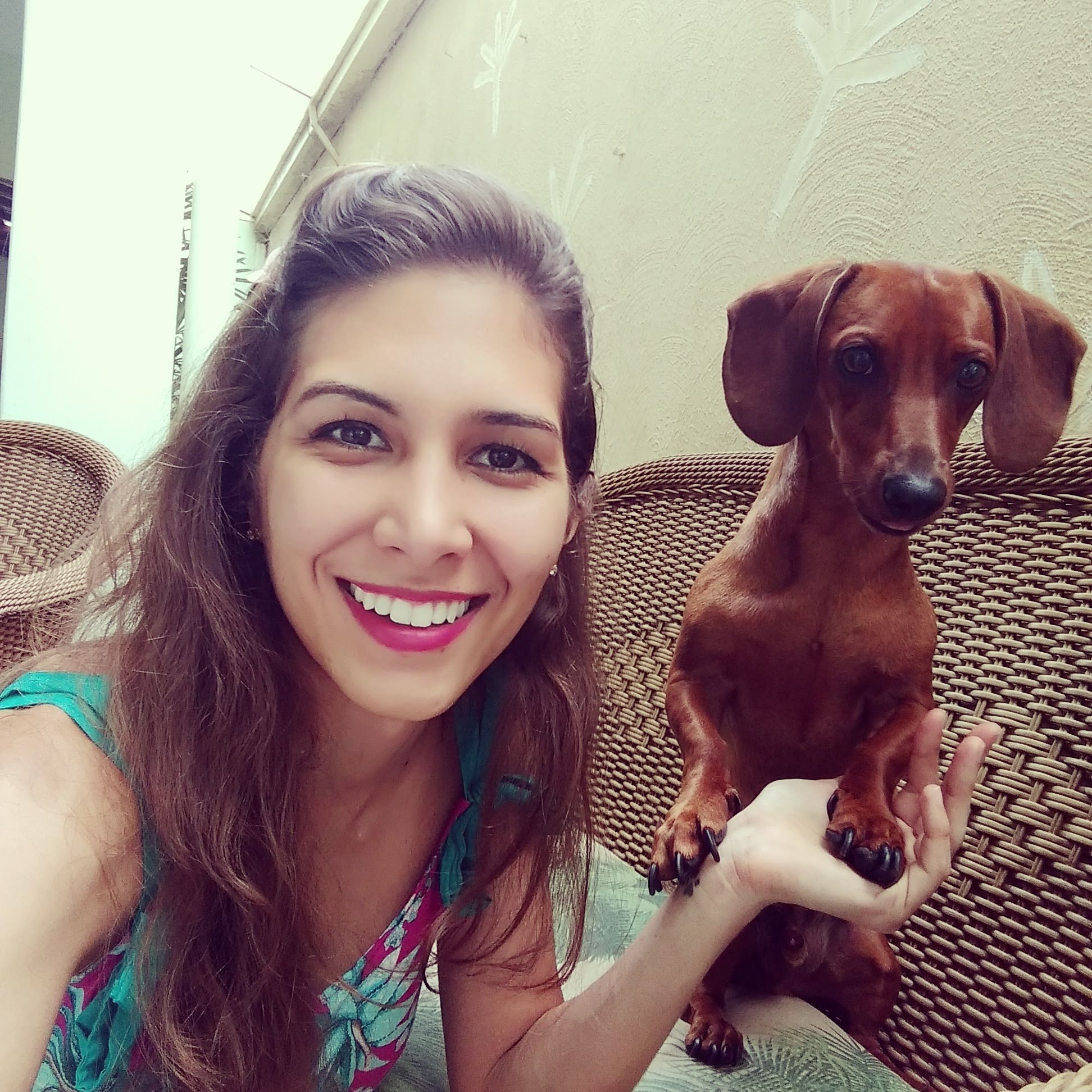 Papilomatose em animais preven o e tratamento guiavet